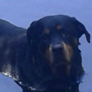 Meet your Posher, Evan